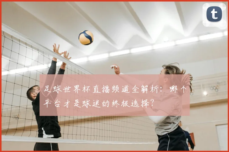 足球世界杯直播频道全解析：哪个平台才是球迷的终极选择？