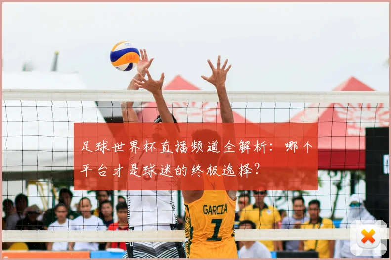 足球世界杯直播频道全解析：哪个平台才是球迷的终极选择？