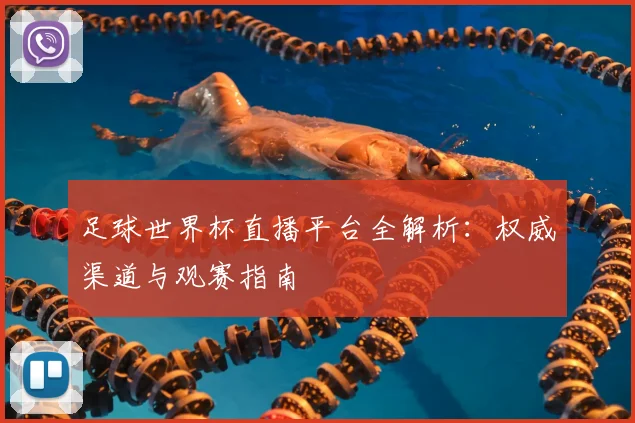 足球世界杯直播平台全解析：权威渠道与观赛指南